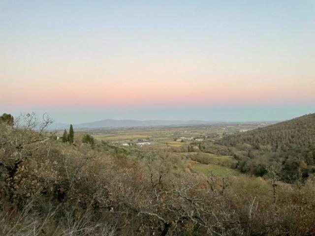 Podere Zelmira *