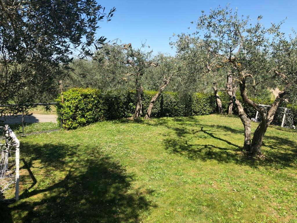 Apartment Podere Zelmira *