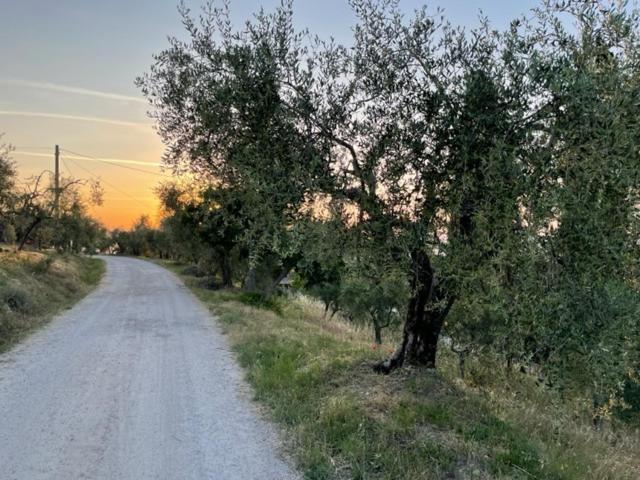 Podere Zelmira * Sinalunga